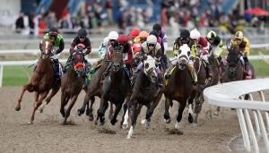 How to Bet on the Canadian Triple Crown